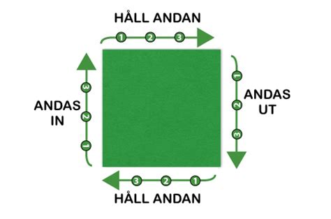 andas i fyrkant bild|Andas i fyrkant